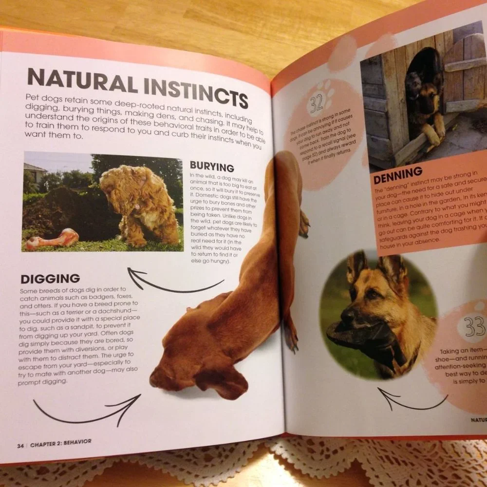 Pet Care Book, Happy Dog - tips for a happy dog